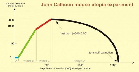 mouse utopia experiment was right